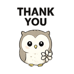 Cozy Owl English Expressions