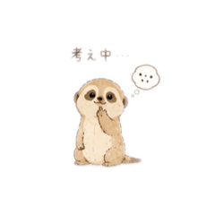 coco_20260612015507