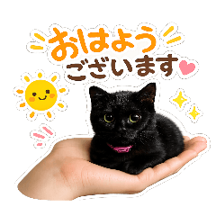 KAZUHIKO_20260612030436