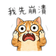 Broke Cat