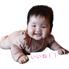 yosakoi jaison_20260611222412