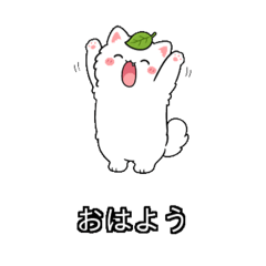 niwa_20260612083817