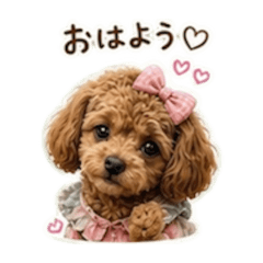 tea_20260612162414