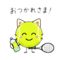 Shosho_20260612183112