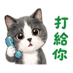 花便魯灰白貓（對應篇）
