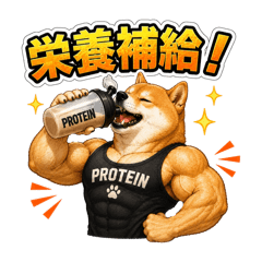 syuhonn_20260612211143