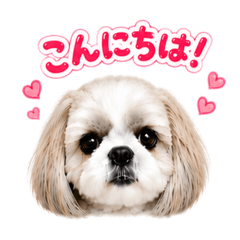 yupi_20260613000029