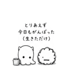 po_20260613002528