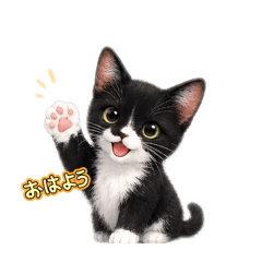 PET SEEYOUAGAIN_20260622183120