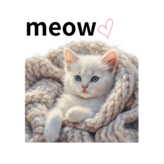miyu_20260613041606