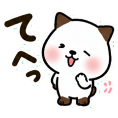 nukonameko_20260613105634