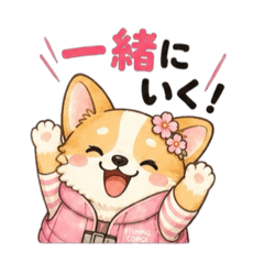 chipoko_20260613104926