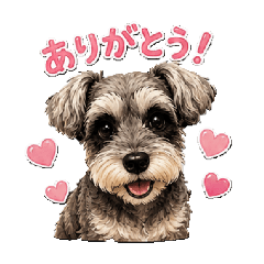naluna_20260613160245