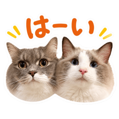 Leo&Louis_20260613161834