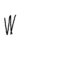 otter_20260622163611