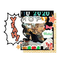 morio_20260622212017