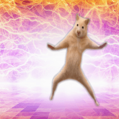 moving hamster8