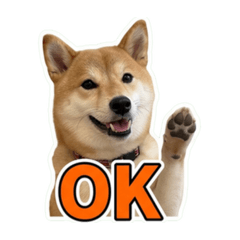 Roku tan