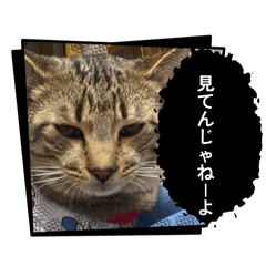 YURImama0804
