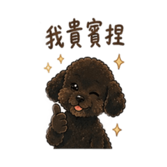 我貴賓捏蛤