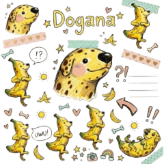 狗蕉
