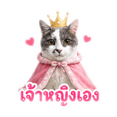 Princess Mizu Cat