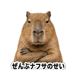 Capybara Blames All on Naphtha