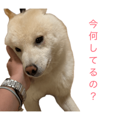yukichi_20260613172833
