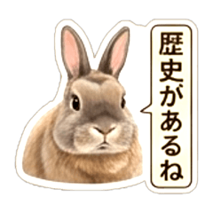 たれ耳うさぎのうーさん5 - LINE スタンプ | LINE STORE
