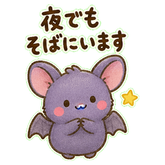 夜蝙蝠的夜間訊息