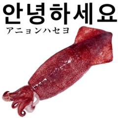 Flesh Baby squid 11