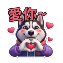 哈士奇 1