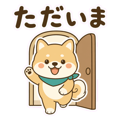 Home Shiba Warm Replies