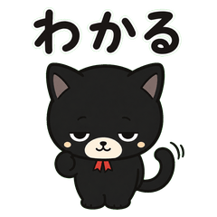 Black Cat Honest Reactions