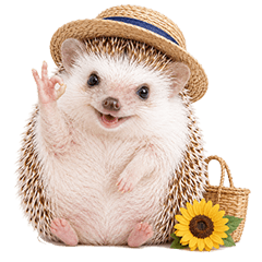 Tiny Hedgehog Summer Polite Phrases