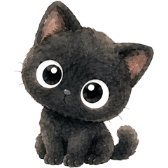 Everyday Black Cat Kururu