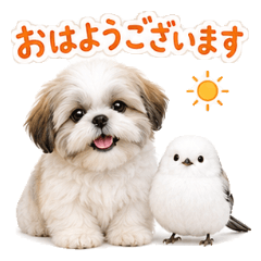 Shih Tzu & Snow Fairy Polite Stickers