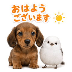 Dachshund & Snow Fairy Polite Stickers