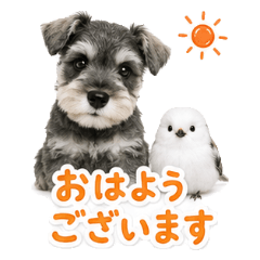 Schnauzer & Snow Fairy Polite Stickers
