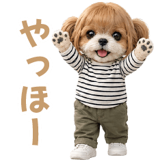 ShihTzu dog Kabo Girl's daily stamps