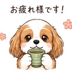 大眼騎士查理王小獵犬敬語貼圖