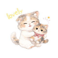 The Daily Life of a Scottish Fold