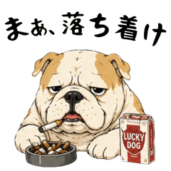 Bang! Bulldog 2