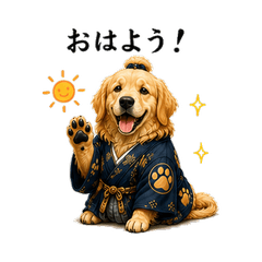 Samurai Golden Retriever Daily Life2