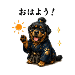 Samurai Rottweiler Daily Life