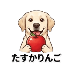 LEON pretty dog's greeting stickers.