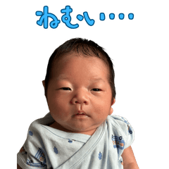 260622_Soma_line_v1