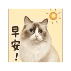 Js布偶貓祝福/2026