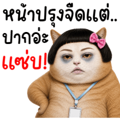 Black Eyes Cat 2
