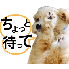 mokochina